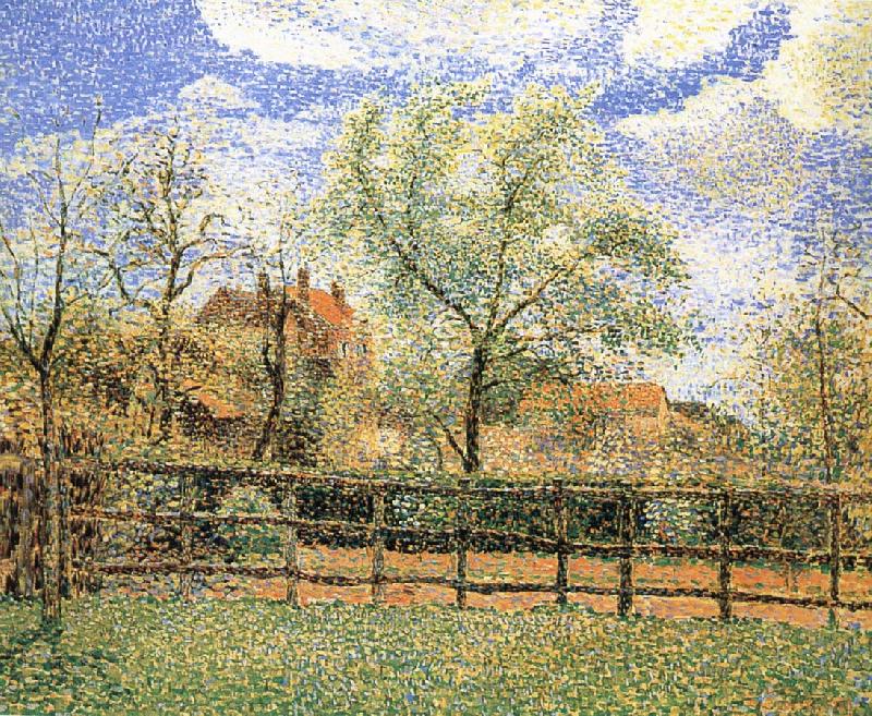 Pear trees bloom in the morning, Camille Pissarro